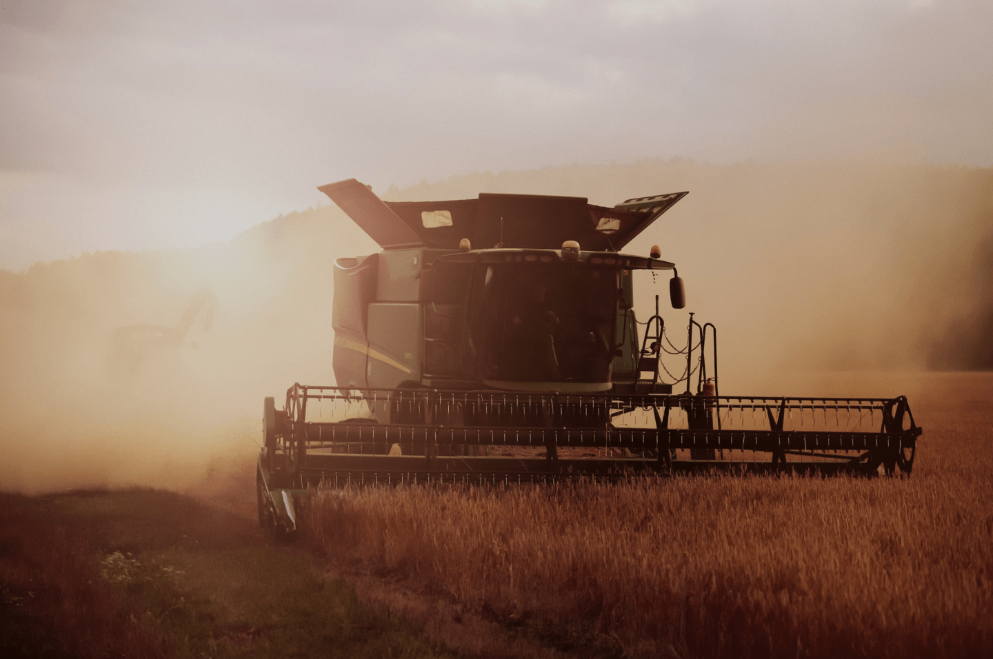 Where's the wheat