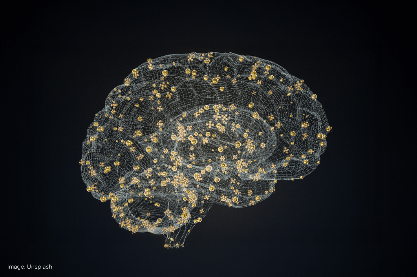UTS_BLOG_Image1 (62).png