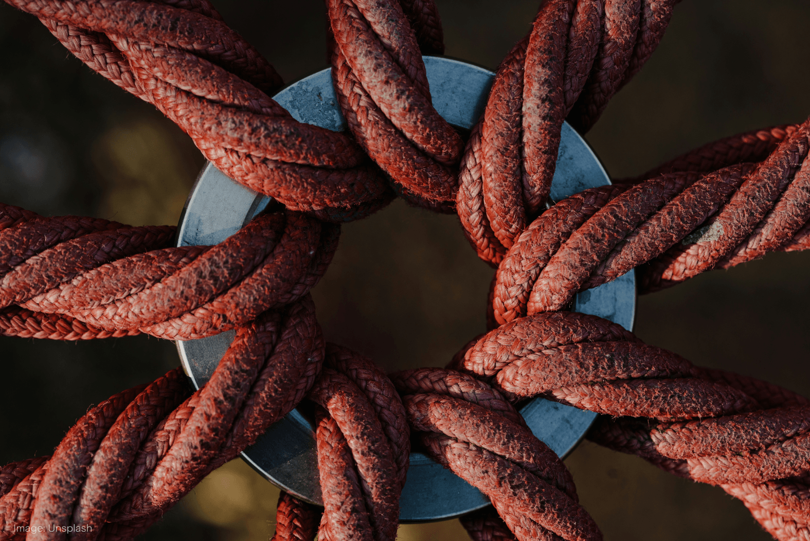 Wrap Hero Image.png