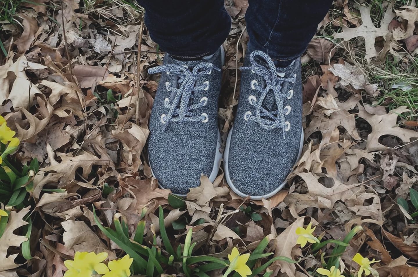 allbirds_option1.jpeg