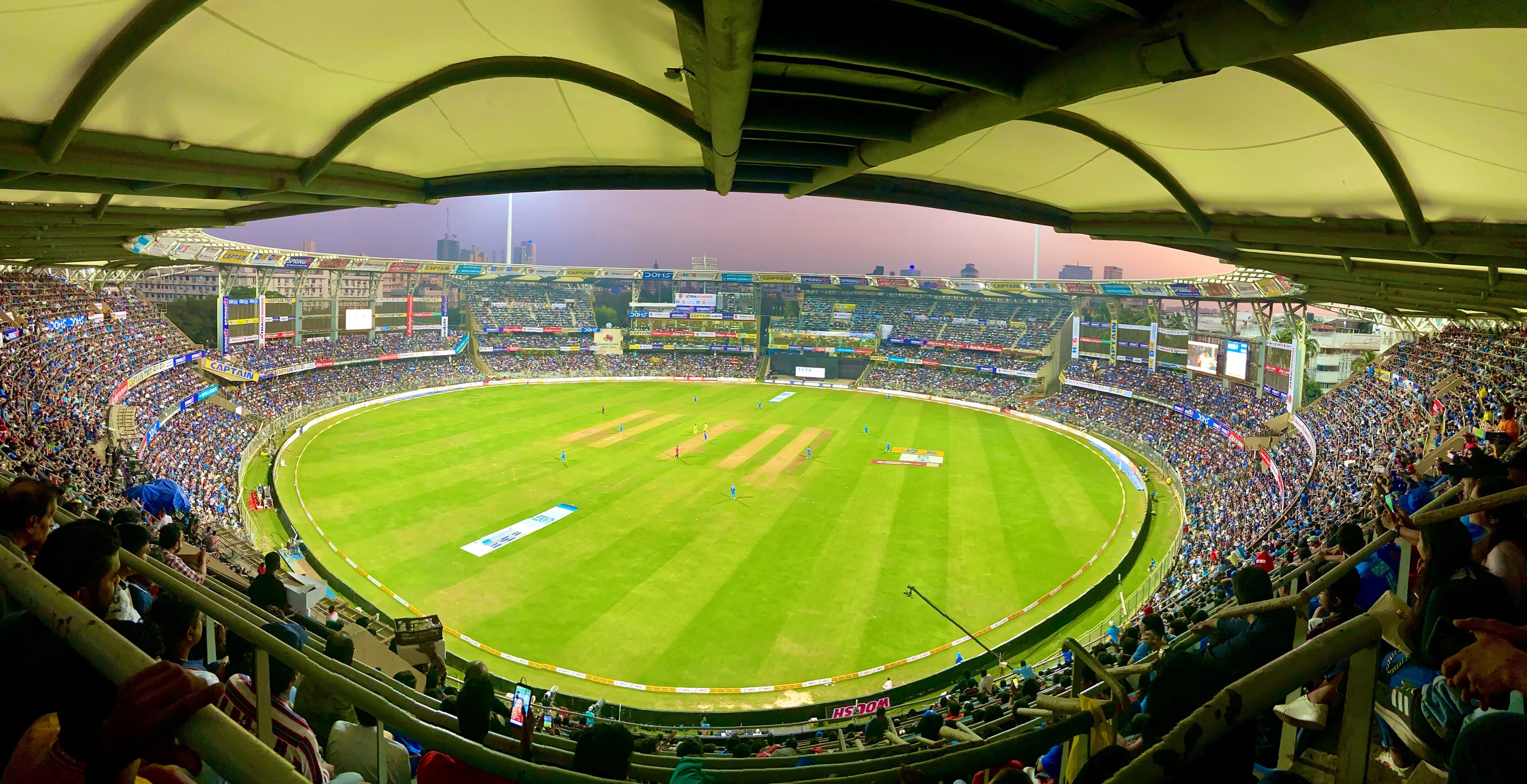 cricket.jpg