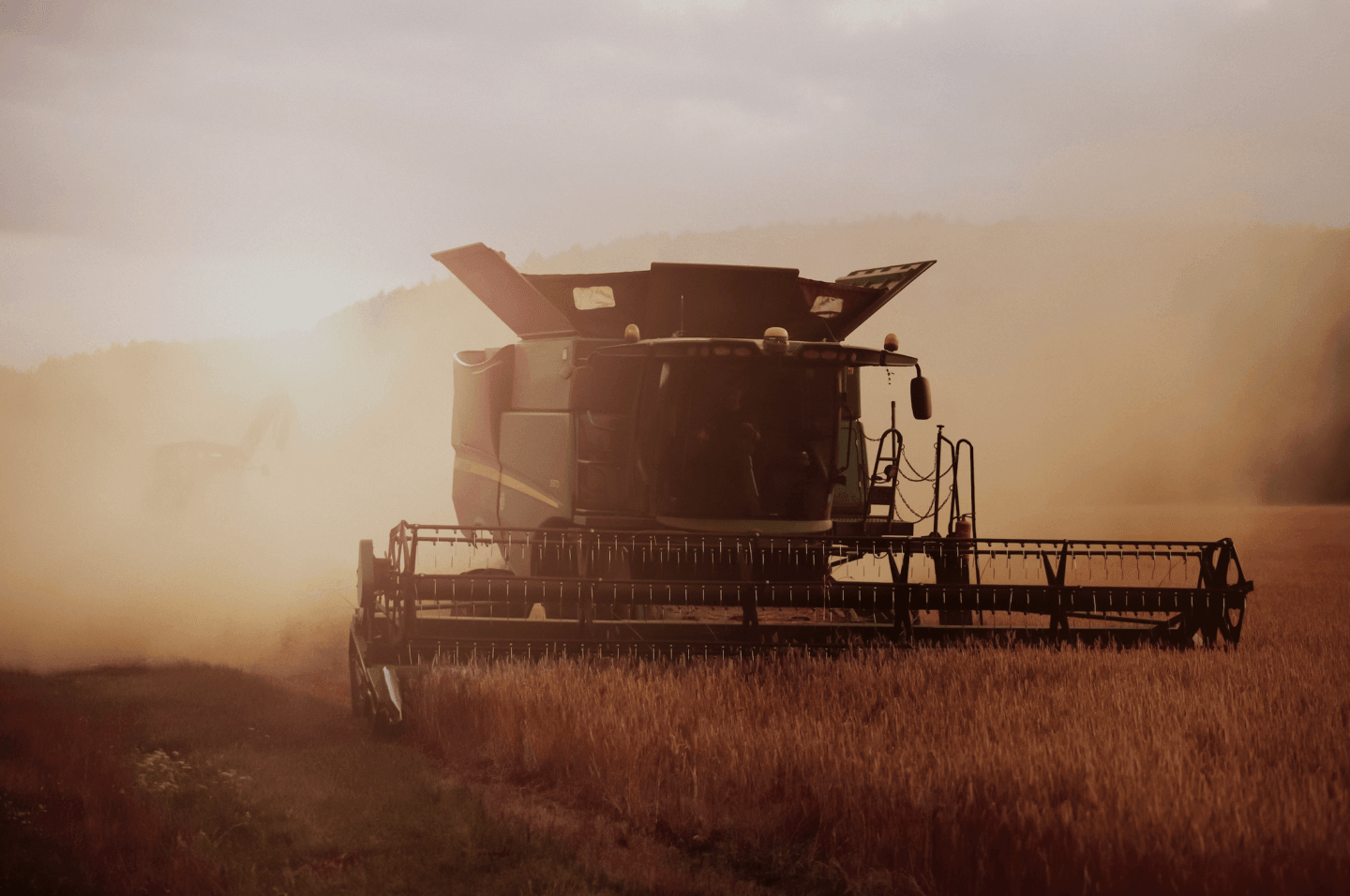 Where's the wheat
