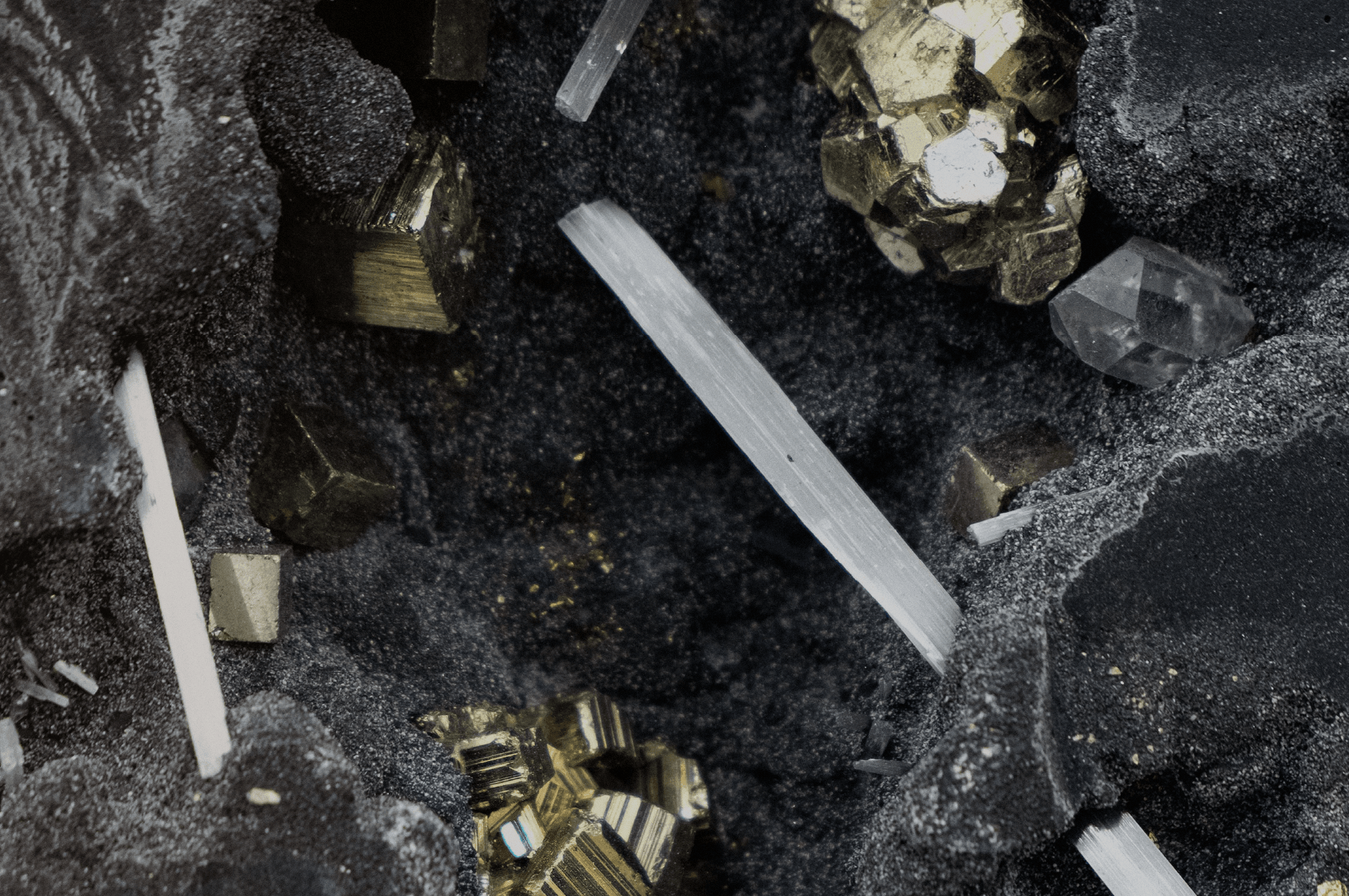 Blog_1_1440x956-2.png