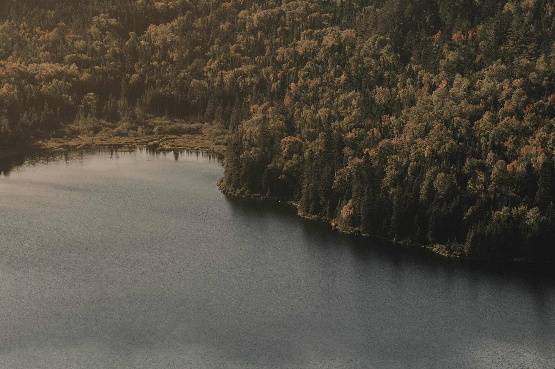 How to buy shares in Basin Energy