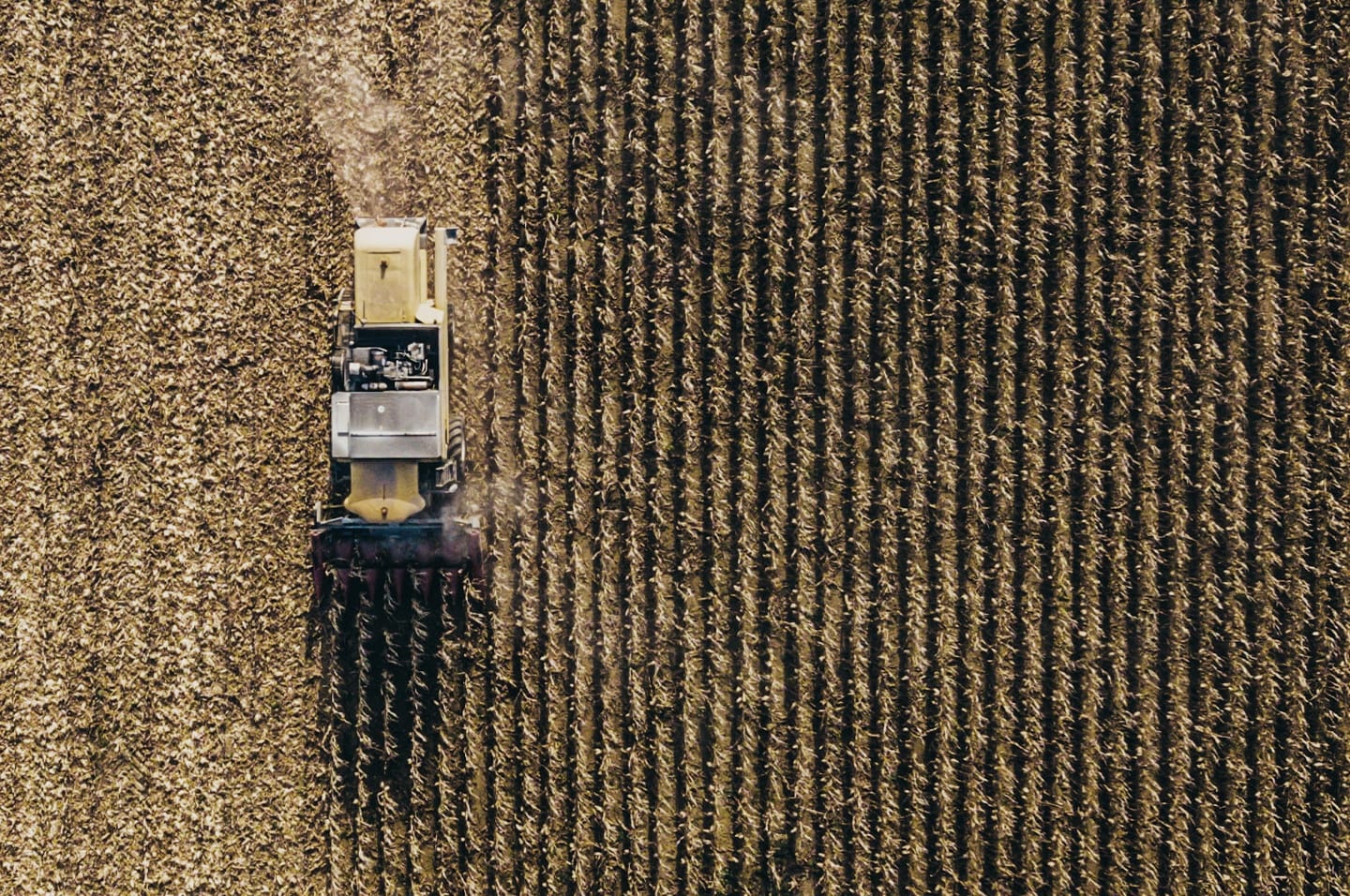 Harvested_1440x956-1.jpg