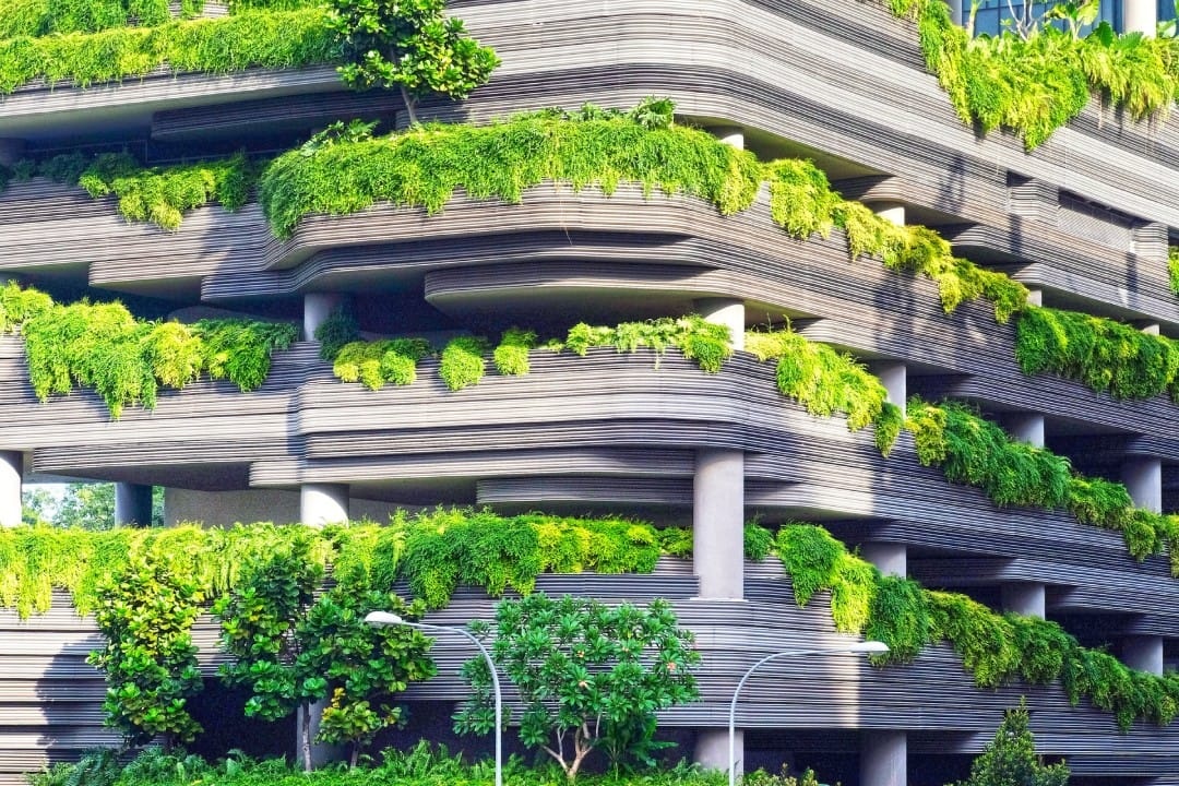 gray-concrete-building-covered-trees.jpg