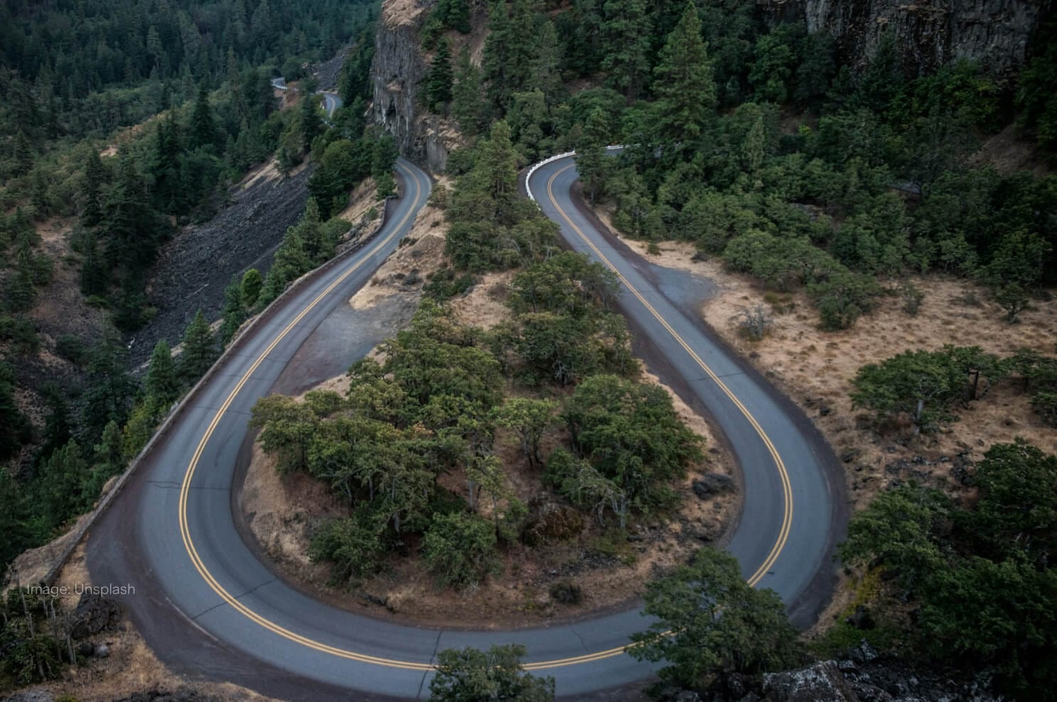 u-turn-road-in-forest.jpg