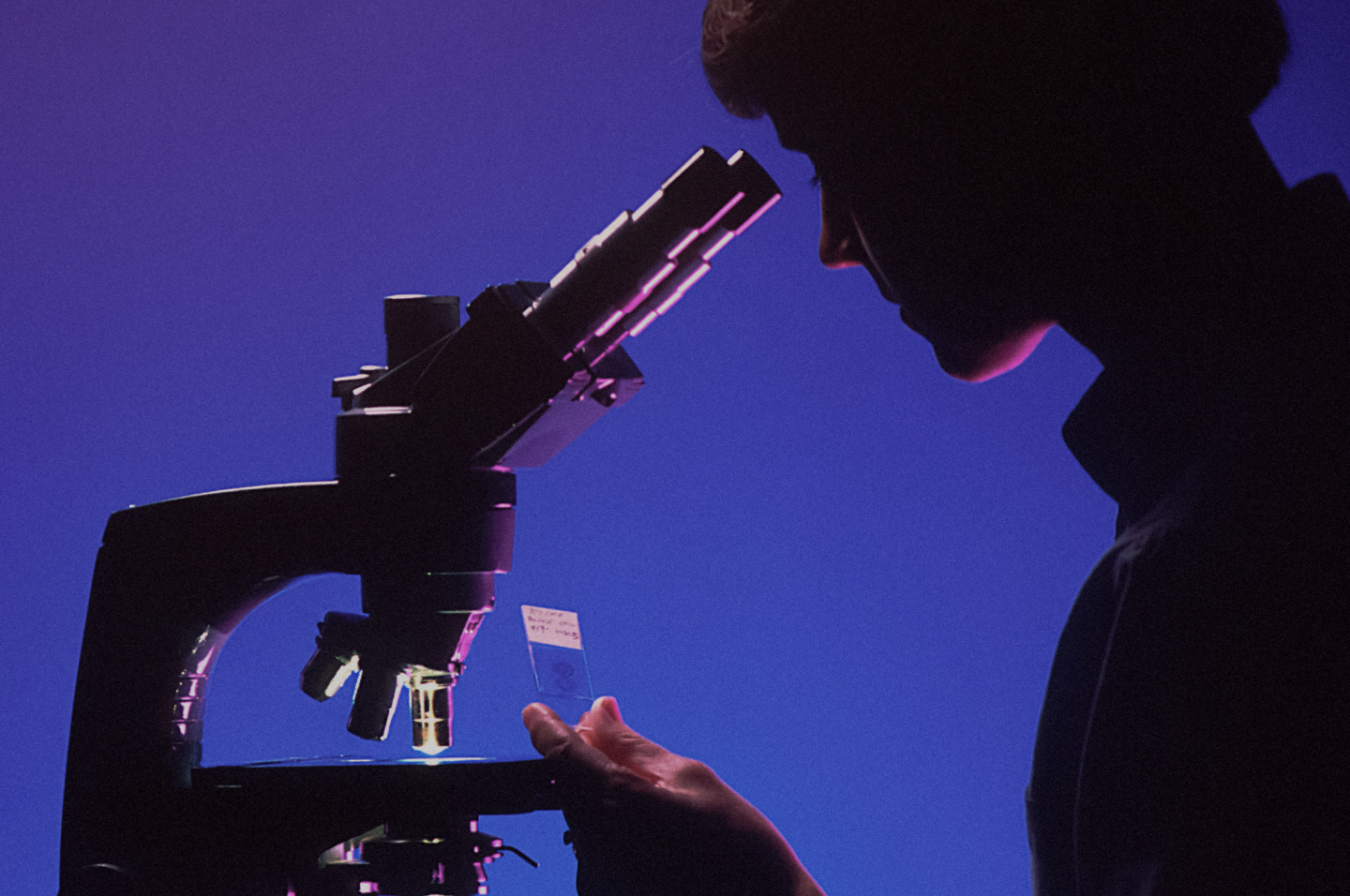 Scientist looks down microscope 