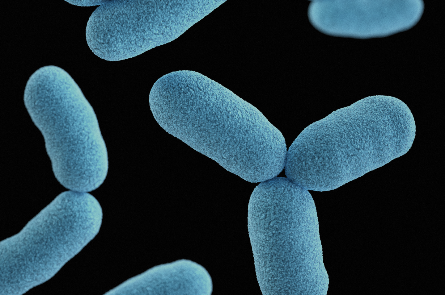 Blue gut microbiomes