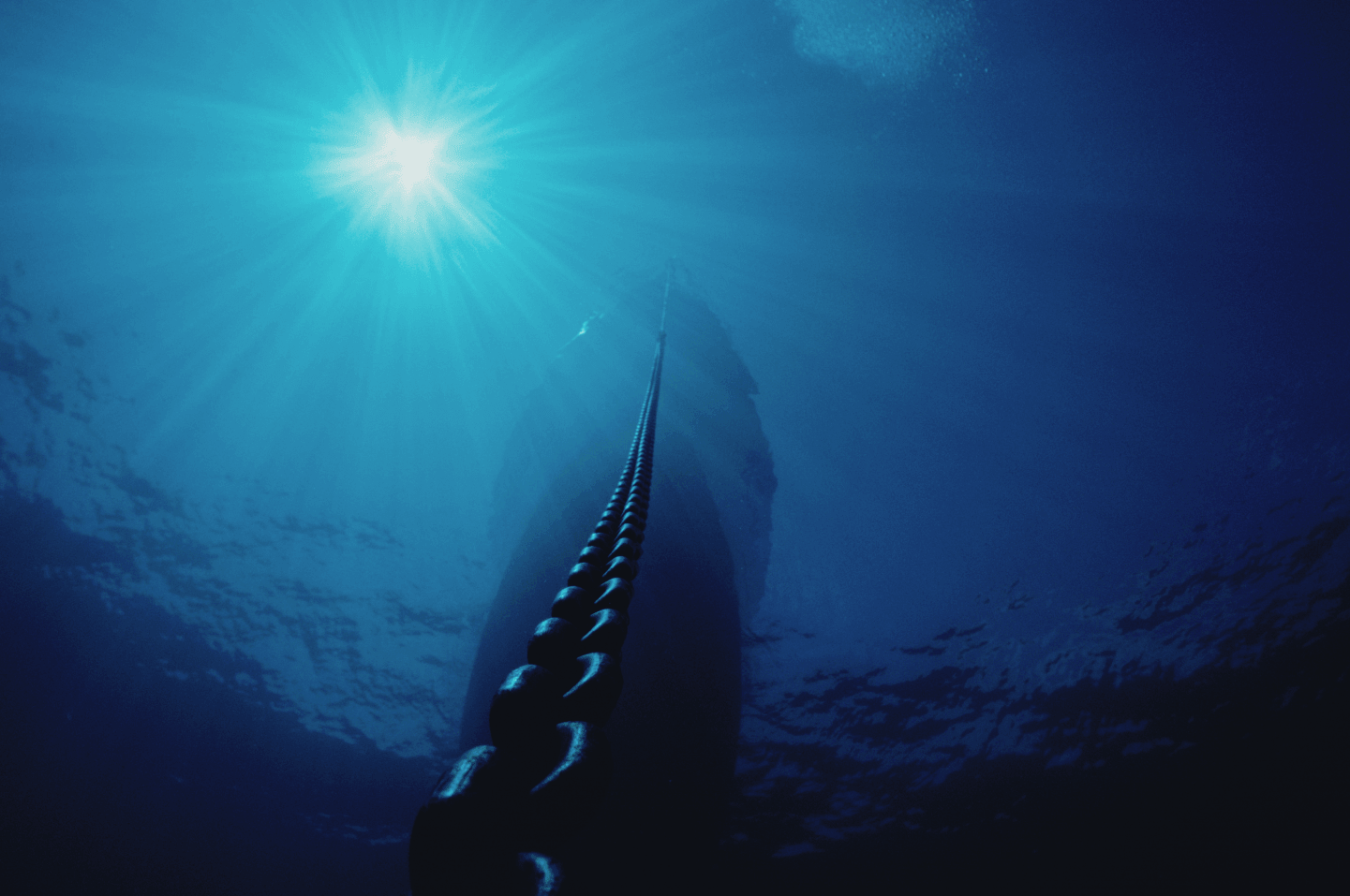 UTS_Austal_BlogHeader_1440x956.png