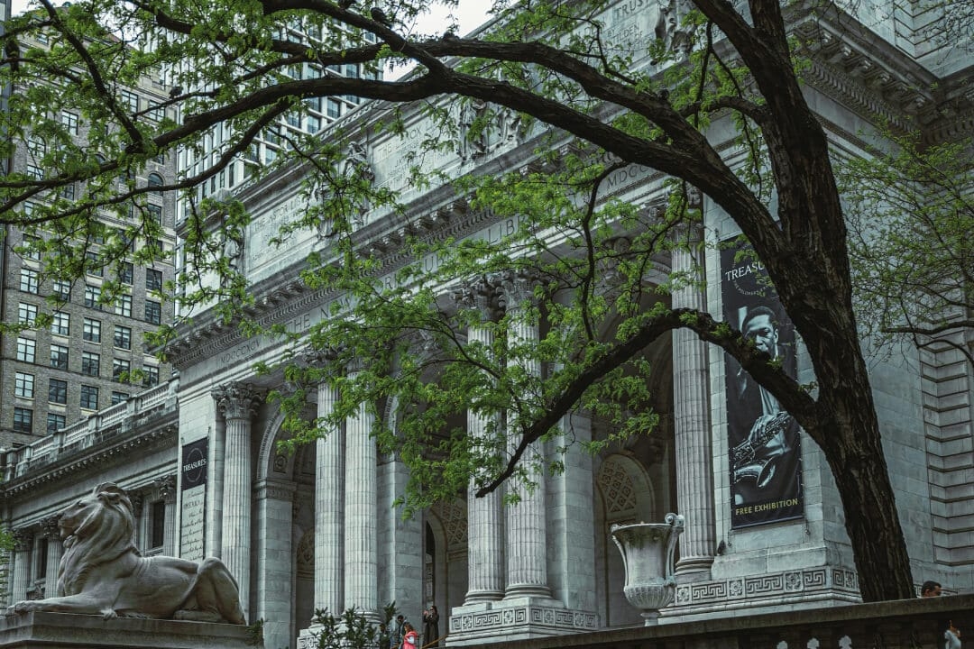 new-york-library-tree.jpg